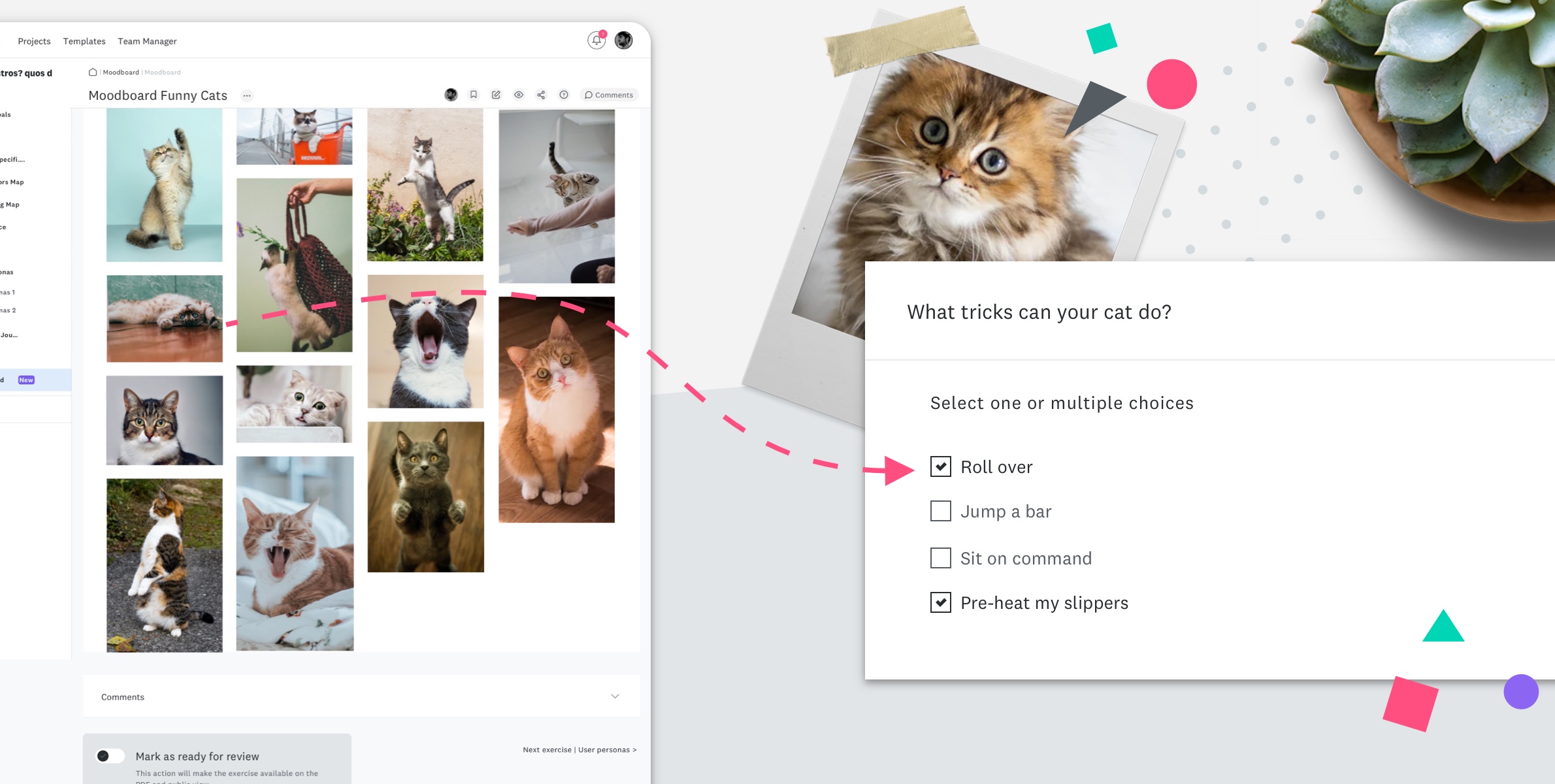 New Multiple and Single Choice Component and Improved Moodboard workflow